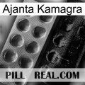 Ajanta Kamagra new04